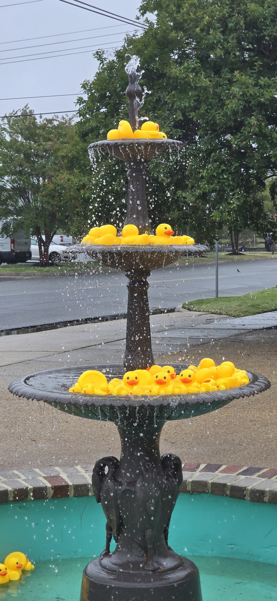 A fountain full of rubber ducks in the rain A fountain full of rubber ducks in the rain
