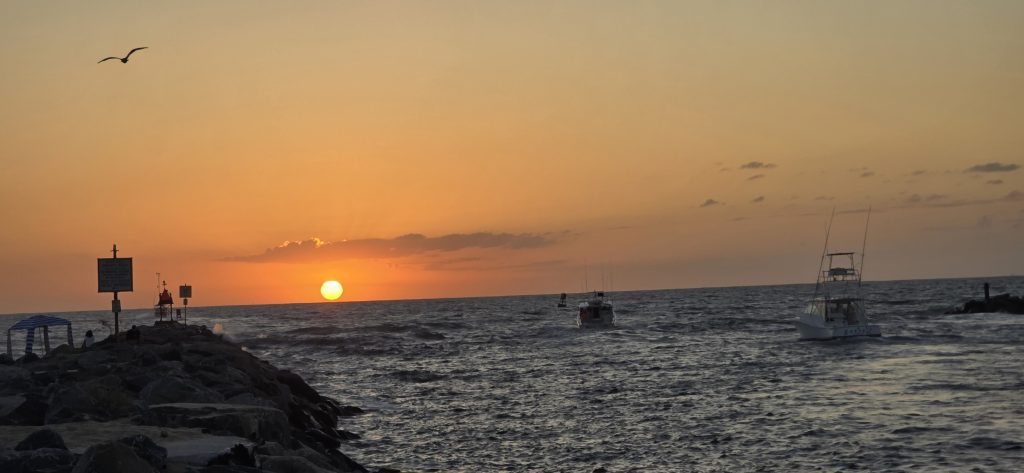Sunrise over the Atlantic with a pelican overhead and fishing boats heading out past a rock jetty